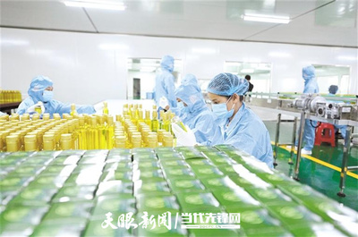 貴州油茶: 精深加工突圍 帶動全產業(yè)鏈升級