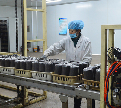 滴道區(qū)沅予菌包廠:為實現(xiàn)年產(chǎn)700萬袋菌包開足馬力