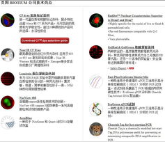 biotium產(chǎn)品中國(guó)區(qū)總代理 上海開放生物科技