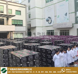 上?；瘖y品oem 集尚生物化妝品oem 化妝品oem代加工